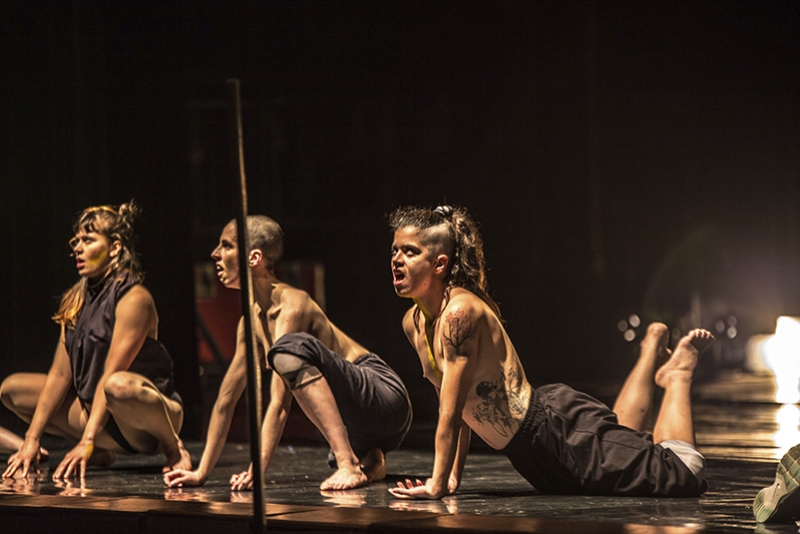 PROTOCOLO ELEFANTE, DIAS 11 E 12 DE SETEMBRO, NO TEATRO RENASCENÇA