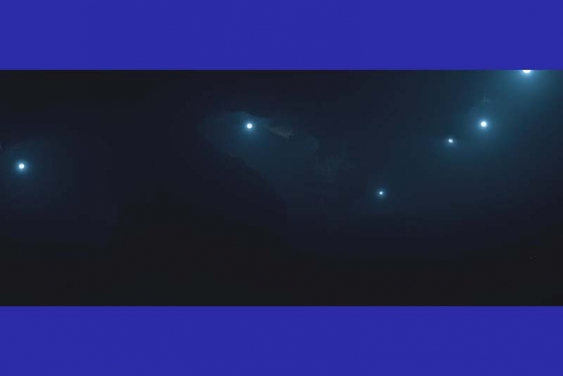 INSTITUTO LING INAUGURA A EXPOSIÇÃO ANTES DO AZUL, DE ROMY POCZTARUK