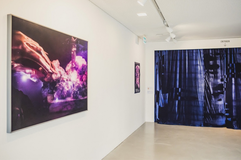 EXPOSIÇÃO ANTES DO AZUL, DE ROMY POCZTARUK, ESTÁ EM CARTAZ NO INSTITUTO LING ATÉ MARÇO