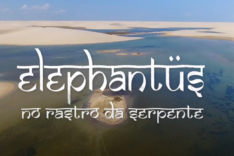 ELEPHANTUS LANÇA LIVE CLIP QUE ABORDA A EXPLORAÇÃO E DEVASTAÇÃO DA FLORA BRASILEIRA