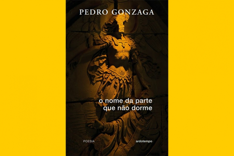PEDRO GONZAGA LANÇA SEU NOVO LIVRO COM LIVE NO DIA 1° DE DEZEMBRO