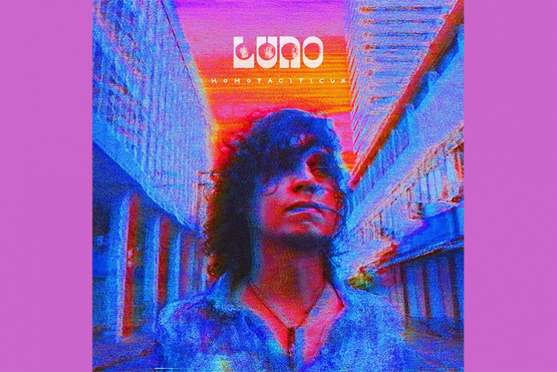 LUNO (EX-PL&Aacute;STICO LUNAR) CRITICA VALORES SOCIAIS CONTEMPOR&Acirc;NEOS EM HOMO PACIFICUS