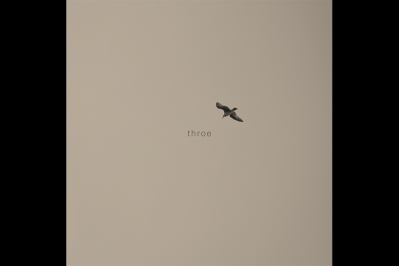 THROE TRANSITA ENTRE O PESO E O POST-ROCK EM &Uacute;LTIMO C&Eacute;U