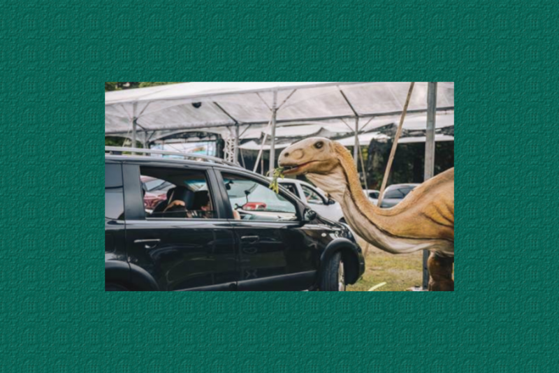 SESS&Otilde;ES EXTRAS: JURASSIC SAFARI EXPERIENCE, ENTRE 10 E 13 DE JUNHO, NO BARRA SHOPPING SUL