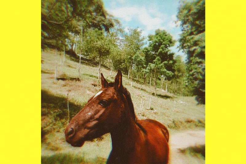 IMERSO EM LEMBRAN&Ccedil;AS LIS&Eacute;RGICAS, O GOIANO DEZERT HORSE LAN&Ccedil;A NOVO SINGLE