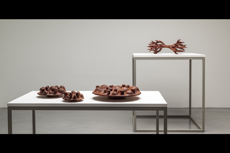 EXPOSI&Ccedil;&Atilde;O DE MAURO FUKE &Eacute; PRORROGADA AT&Eacute; FEVEREIRO DE 2022 NO INSTITUTO LING
