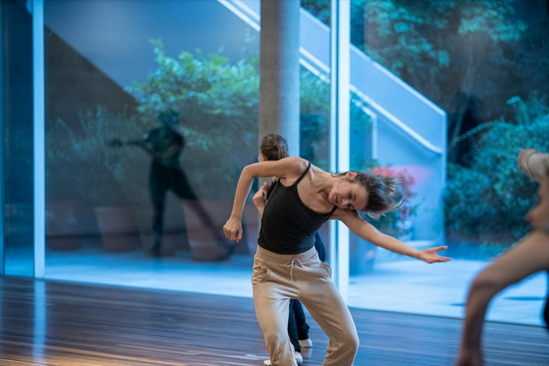 CAMILA VERGARA MINISTRA OFICINAS DE DAN&Ccedil;A NO INSTITUTO LING