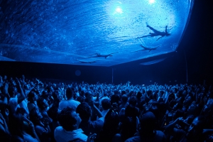 INGRESSOS PARA O ESPETÁCULO ARGENTINO FUERZA BRUTA COMEÇAM A SER VENDIDOS NESTA SEXTA-FEIRA, 7 DE DEZEMBRO