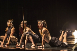 PROTOCOLO ELEFANTE, DIAS 11 E 12 DE SETEMBRO, NO TEATRO RENASCENÇA