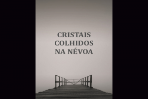 CRISTAIS COLHIDOS NA NÉVOA, LIVRO DE CARLOS HAHN, TERÁ LANÇAMENTO, AUTÓGRAFOS E POCKET SHOW DIA 07 DE DEZEMBRO