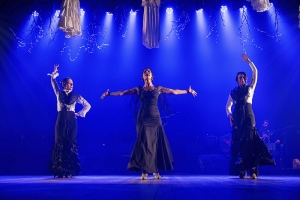 APRESENTAÇÕES NO MEME ESTAÇÃO CULTURAL - TÂNIA FARIAS MUDOU DATA PARA FEVEREIRO E ANA MEDEIROS (FLAMENCO) SERÁ DIA 19 DE JANEIRO