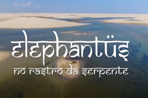 ELEPHANTUS LANÇA LIVE CLIP QUE ABORDA A EXPLORAÇÃO E DEVASTAÇÃO DA FLORA BRASILEIRA