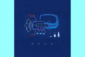 LANÇAMENTO DA COLETÂNEA MAPA ASTRAL VOL. 2 ::: ÁGUA