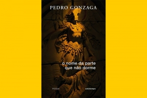 PEDRO GONZAGA LANÇA SEU NOVO LIVRO COM LIVE NO DIA 1° DE DEZEMBRO