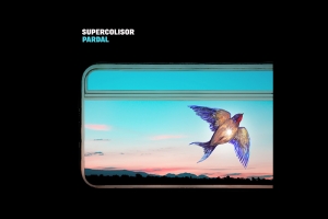 SUPERCOLISOR LANÇA CLIPE “PARDAL” COM PARTICIPAÇÃO DA PINTORA CHILENA MAPA