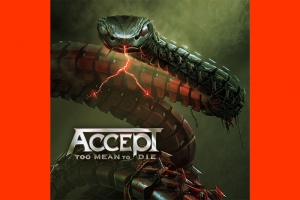ACCEPT TEM LANÇAMENTO PARA 
