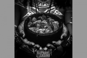 A VIDA E SUAS REFLEX&Otilde;ES, REPRESENTADAS EM NOVO CLIPE DA BANDA ELEPHANT CASINO