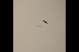THROE TRANSITA ENTRE O PESO E O POST-ROCK EM &Uacute;LTIMO C&Eacute;U