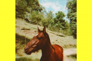 IMERSO EM LEMBRAN&Ccedil;AS LIS&Eacute;RGICAS, O GOIANO DEZERT HORSE LAN&Ccedil;A NOVO SINGLE