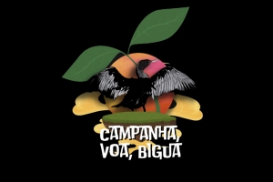 VOA BIGU&Aacute; - CAMPANHA PARA FINALIZA&Ccedil;&Atilde;O DAS OBRAS DO   PONTO DE CULTURA BIGU&Aacute;