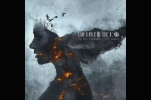 SEGUNDO E NOVO DISCO DO LOW LEVELS OF SEROTONIN J&Aacute; DISPON&Iacute;VEL PELA HEAVY METAL ROCK