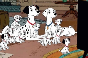 CL&Aacute;SSICO DA DISNEY DE 1961, "101 D&Aacute;LMATAS" SER&Aacute; EXIBIDO DIAS 6 E 7 DE AGOSTO NA CINEMATECA CAPIT&Oacute;LIO, EM PORTO ALEGRE COM INGRESSOS POPULARES