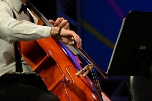 FESTIVAL INTERNACIONAL SESC DE MÚSICA DIVULGA 1a LISTA DOS ALUNOS SELECIONADOS PARA CURSOS DA 9a EDIÇÃO