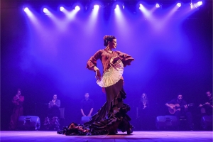 ZONA CULTURAL TER&Aacute; ESPET&Aacute;CULOS, OFICINA DE CIRCO E ENCONTROS DO PALCO GIRAT&Oacute;RIO EM MAIO 