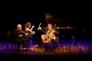 CONJUNTO CAMER&Iacute;STICO AUSTR&Iacute;ACO SALZBURG PIANO TRIO VEM A PORTO ALEGRE PARA &Uacute;NICA APRESENTA&Ccedil;&Atilde;O NO DIA 4 DE OUTUBRO